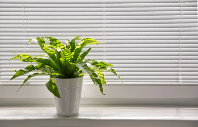 Indoor Air Quality-